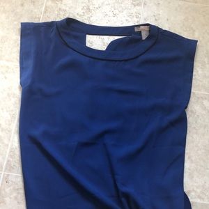 Blue Tunic